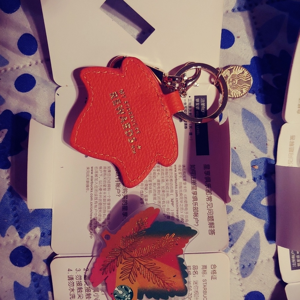 Starbucks Rewards Keychain with card